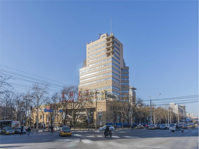 四川室内仿真植物阻燃