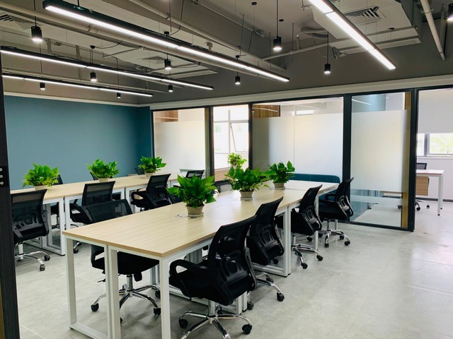 越城区物业灭老鼠服务