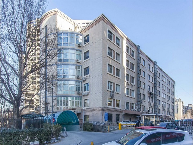 上海防止溢尿接触皮肤3D隆酷结构运动短裤-简约浪款代理商