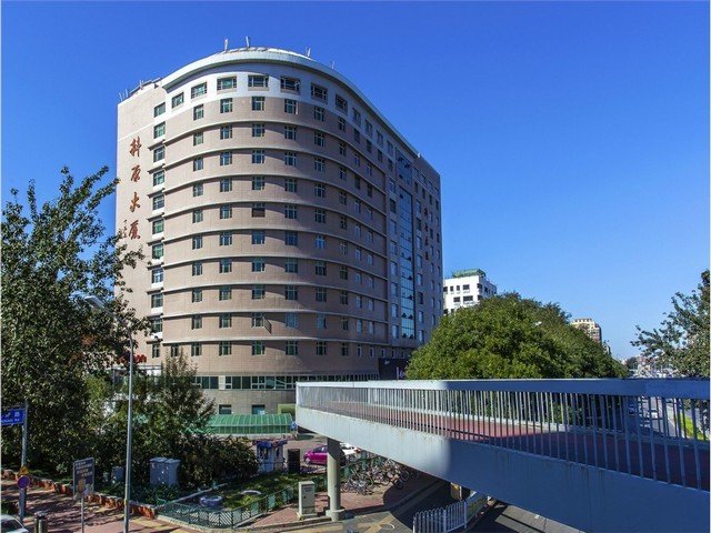 宝山区桥梁木方出售